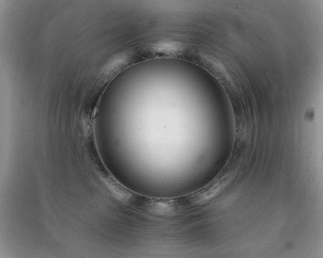 X0000091300285200708172214