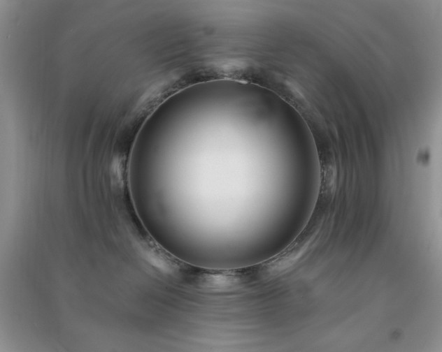 X0000091300286200708172215