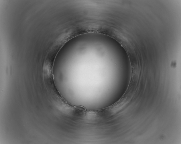 X0000091300287200708172215