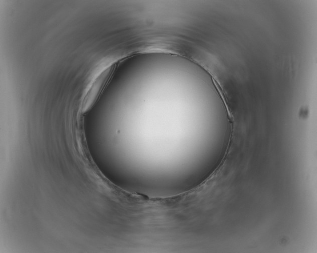 X0000091300289200708172214