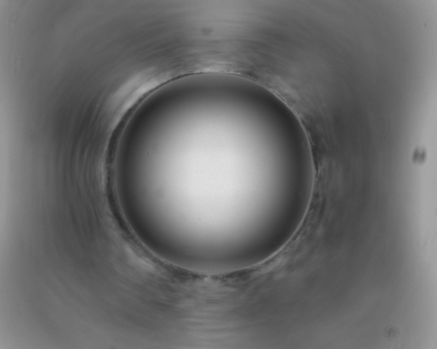 X0000091300290200708172214