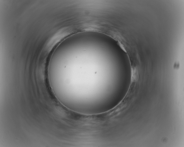 X0000091300291200708172214