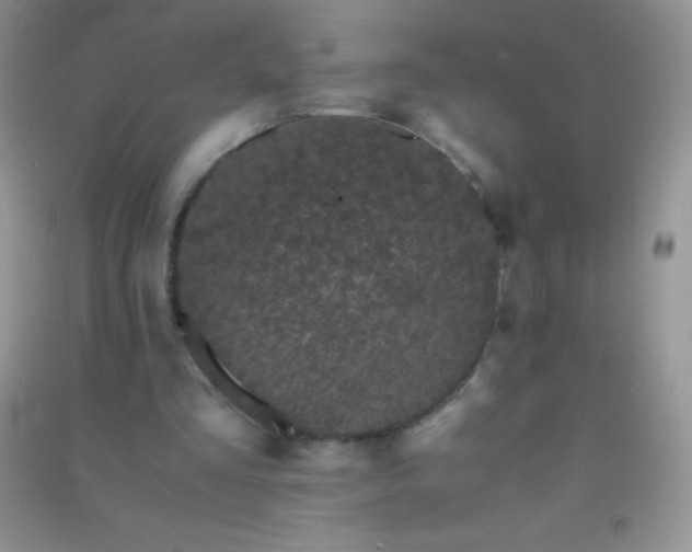 X0000091300293200708172214