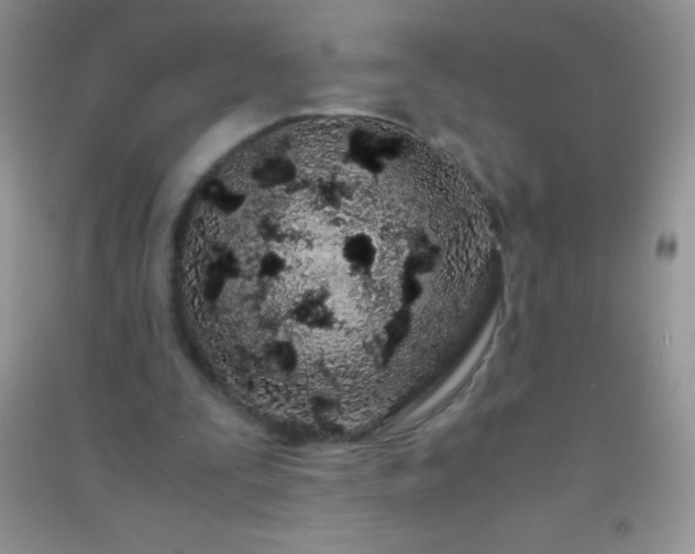 X0000091300295200708172214