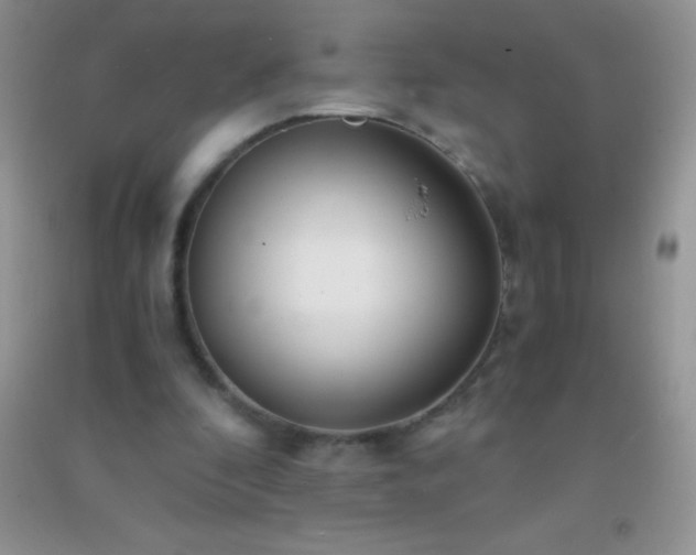 X0000091300296200708172214