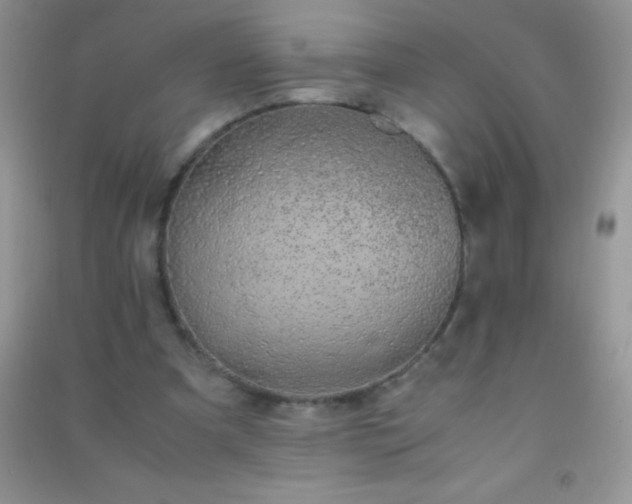 X0000091300297200708172214