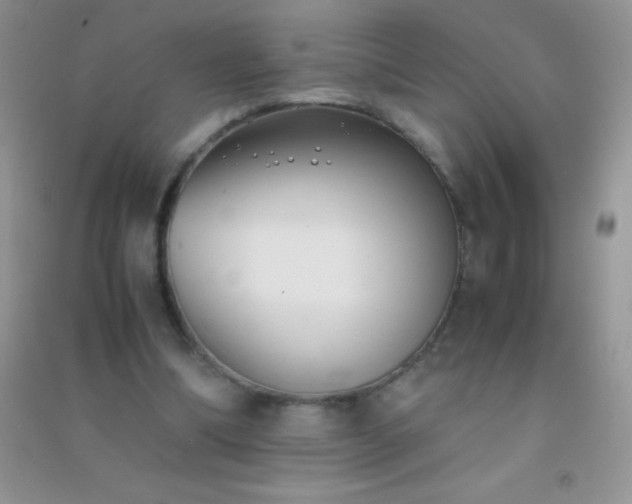 X0000091300298200708172214