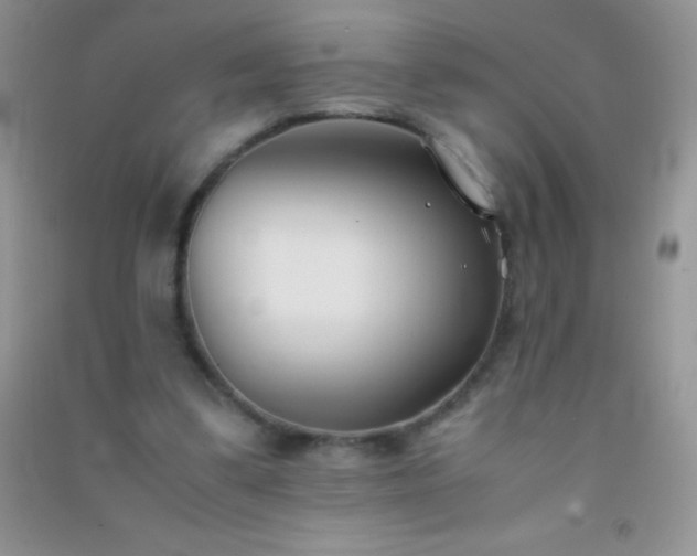 X0000091300299200708172214