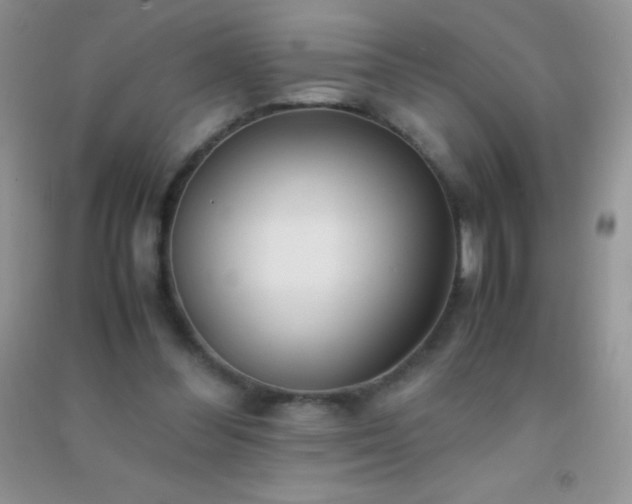 X0000091300300200708172214