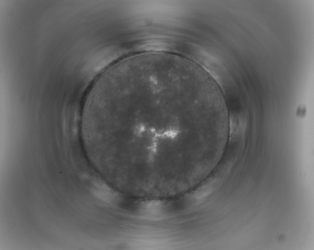 X0000091300301200708172214