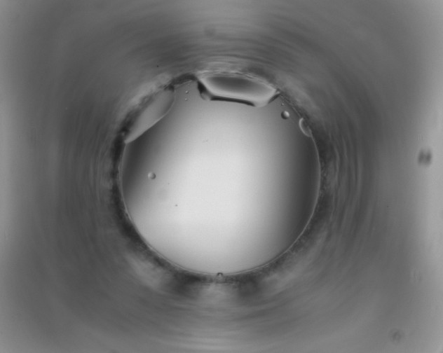 X0000091300303200708172214