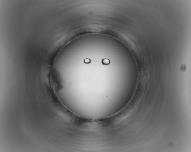 X0000091300307200708172214