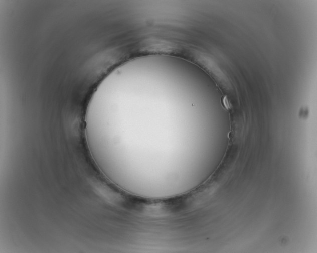 X0000091300309200708172214