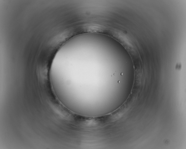 X0000091300310200708172214