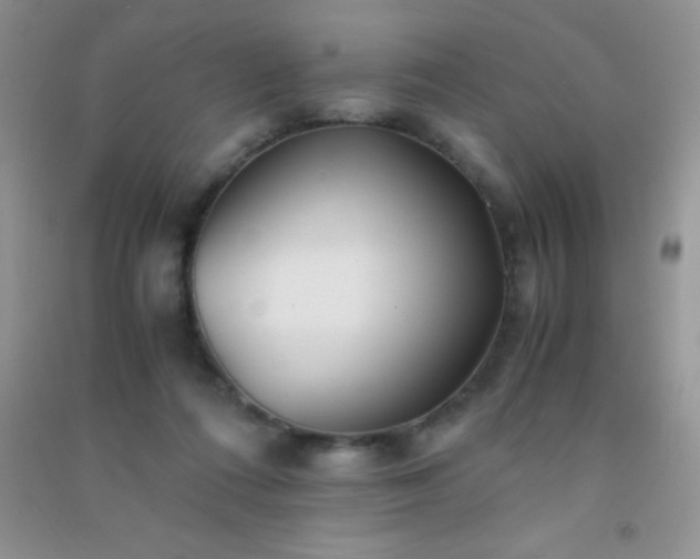 X0000091300312200708172213