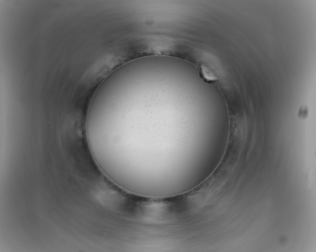 X0000091300313200708172213