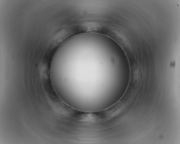 X0000091300316200708172213