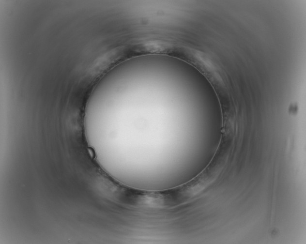 X0000091300317200708172213