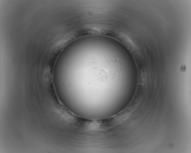 X0000091300318200708172213