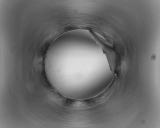 X0000091300319200708172213