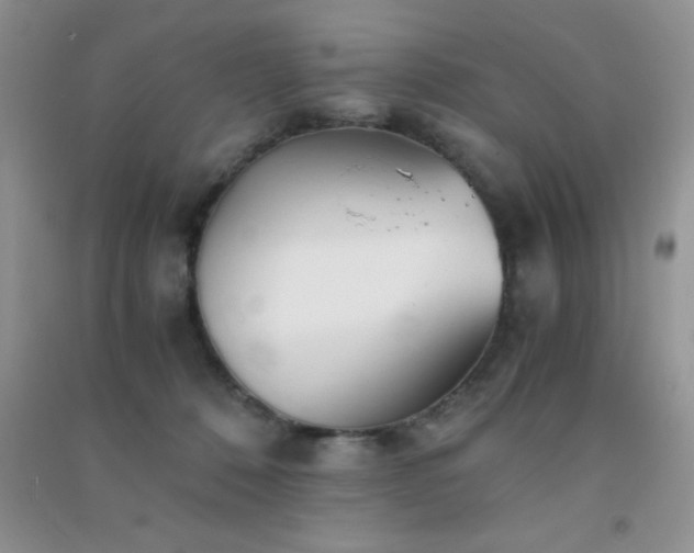 X0000091300320200708172213