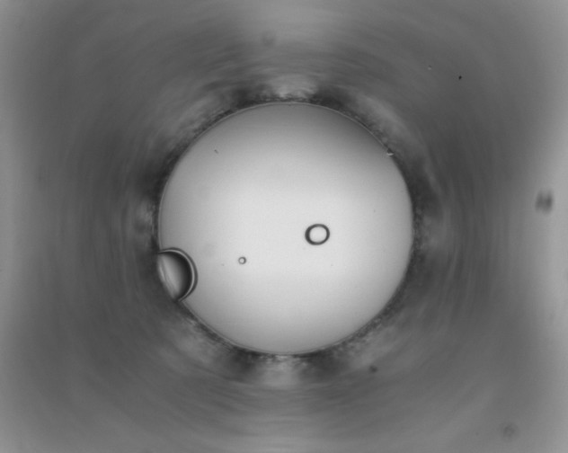 X0000091300321200708172213