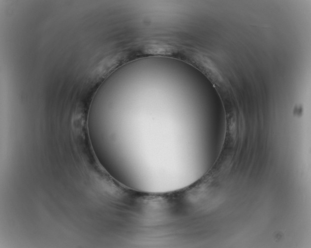 X0000091300322200708172213