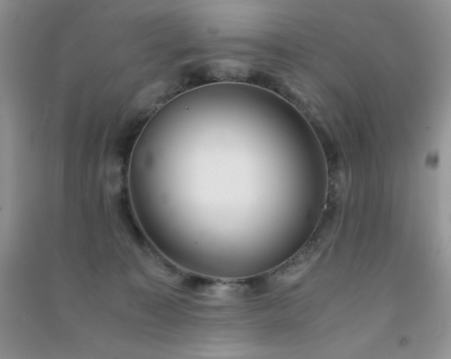 X0000091300323200708172213