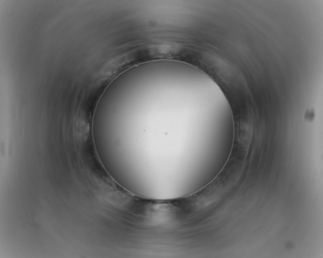 X0000091300324200708172213