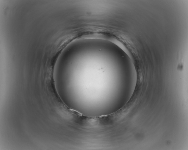 X0000091300325200708172213