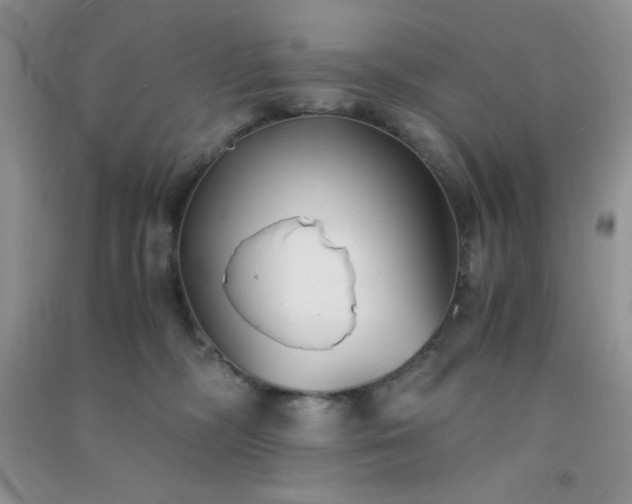 X0000091300326200708172213