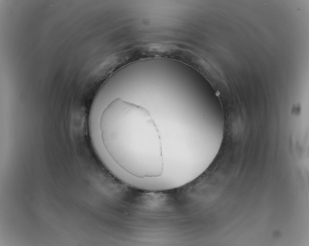 X0000091300328200708172213