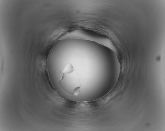 X0000091300329200708172213