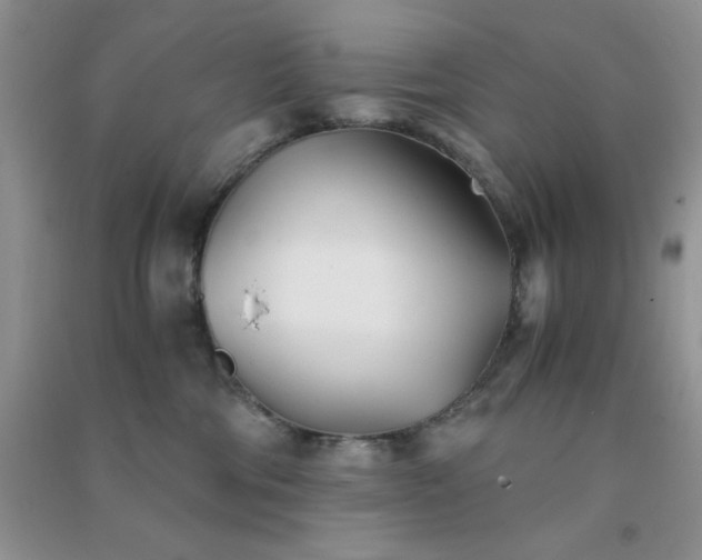 X0000091300330200708172213