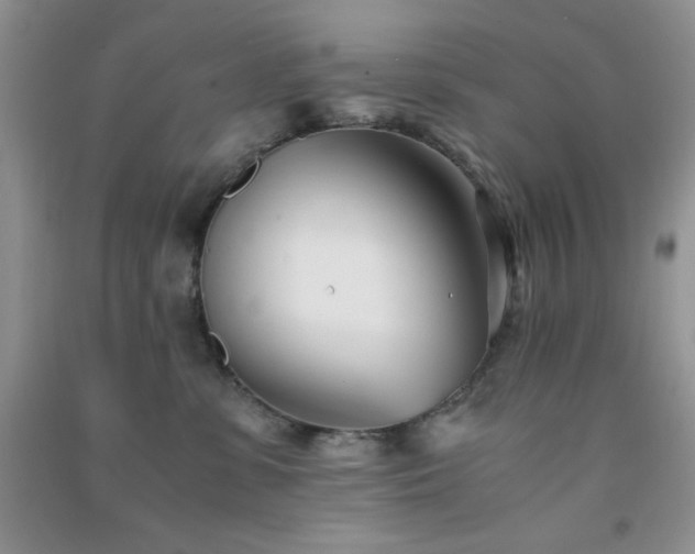 X0000091300331200708172213