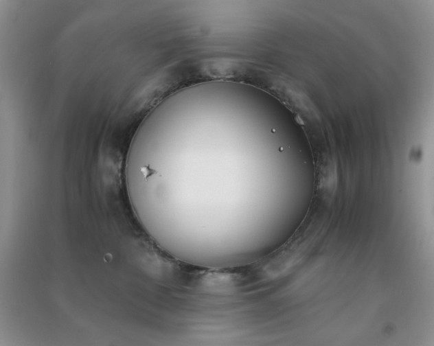 X0000091300332200708172213