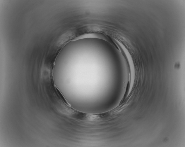 X0000091300333200708172213