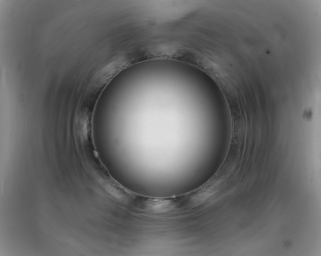 X0000091300334200708172213