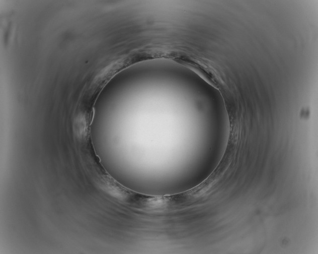 X0000091300335200708172213