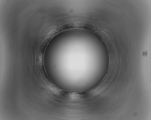 X0000091300336200708172213