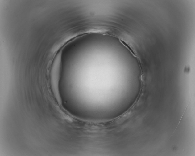 X0000091300337200708172213