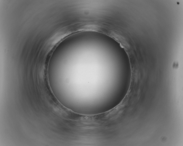 X0000091300338200708172213