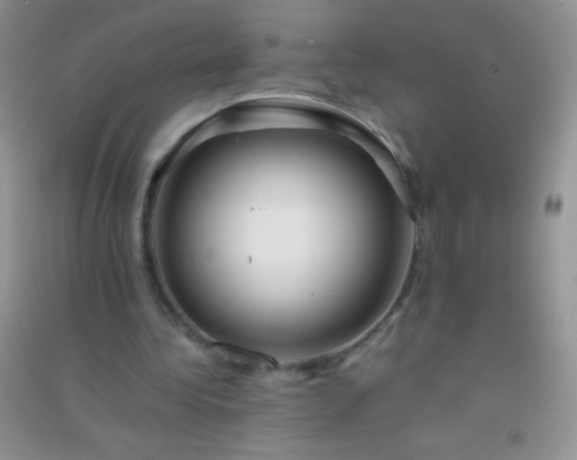 X0000091300340200708172213