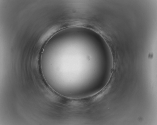 X0000091300341200708172213