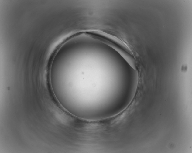 X0000091300342200708172213