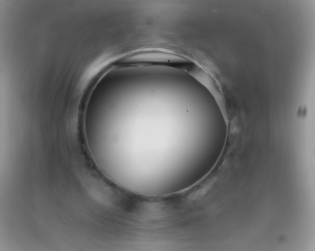 X0000091300344200708172213