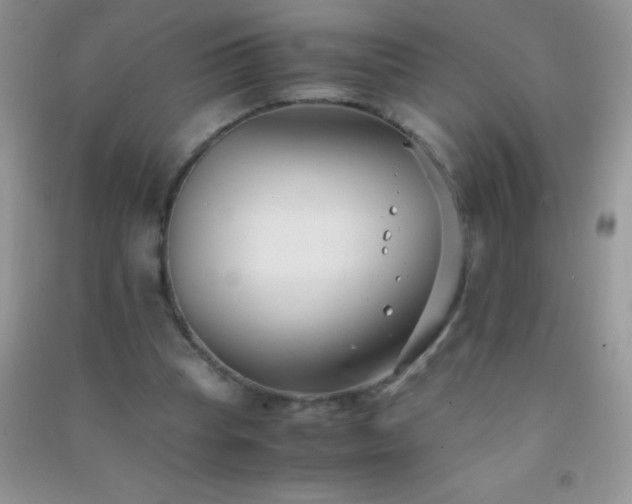 X0000091300345200708172213