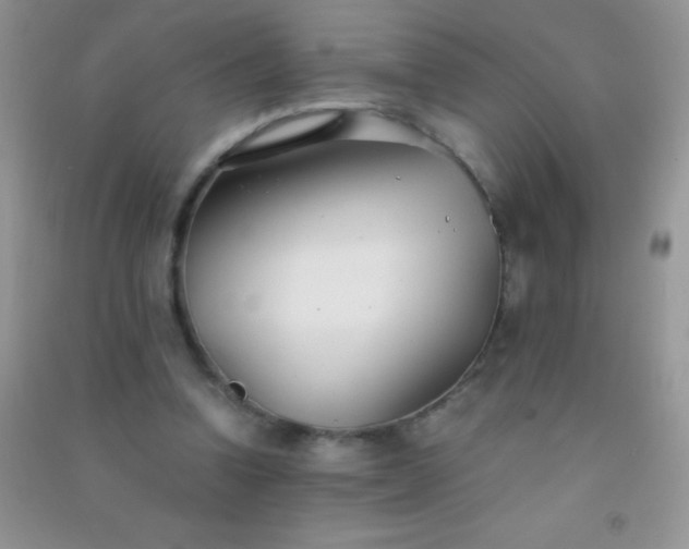 X0000091300346200708172213