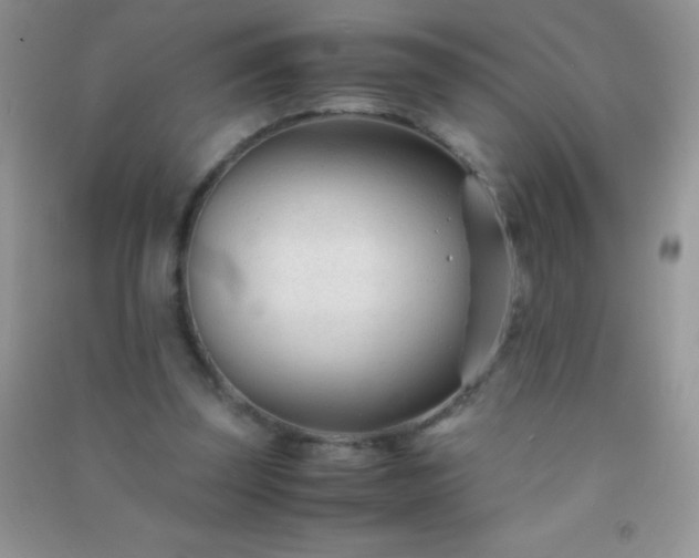 X0000091300347200708172213