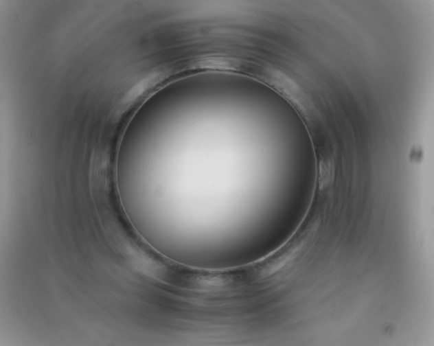 X0000091300349200708172213